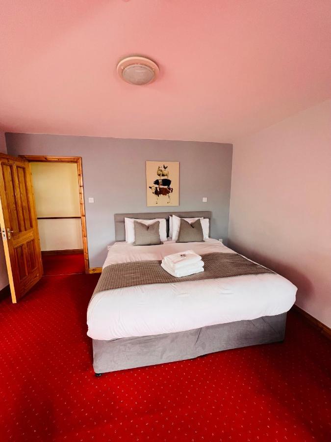 Dingle Marina Lodge Екстериор снимка
