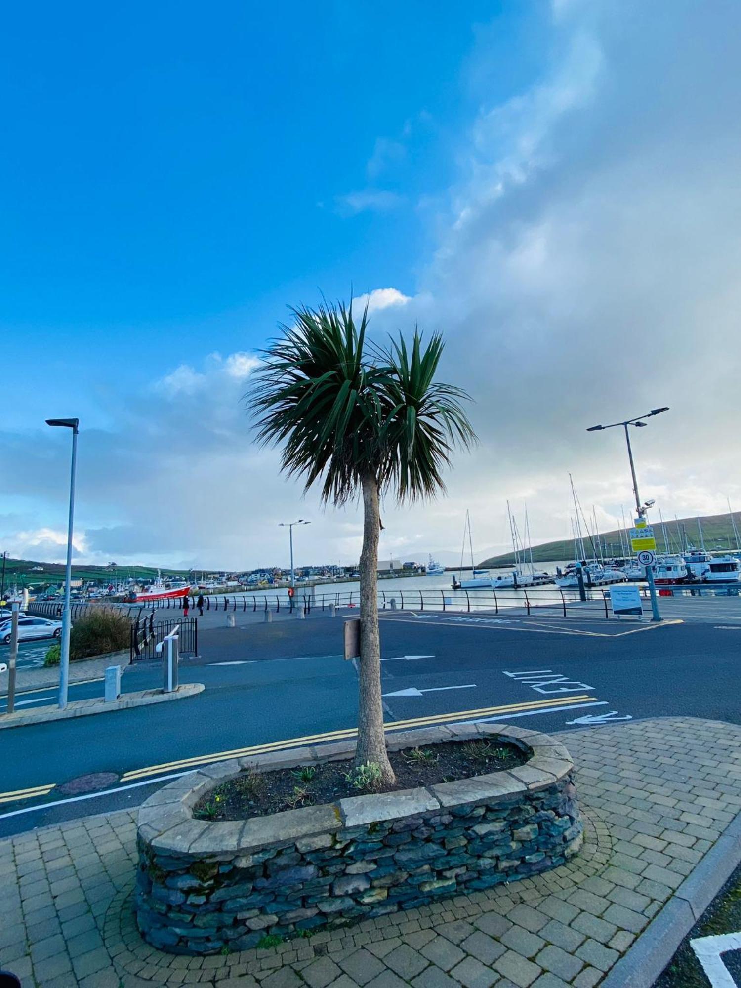 Dingle Marina Lodge Екстериор снимка