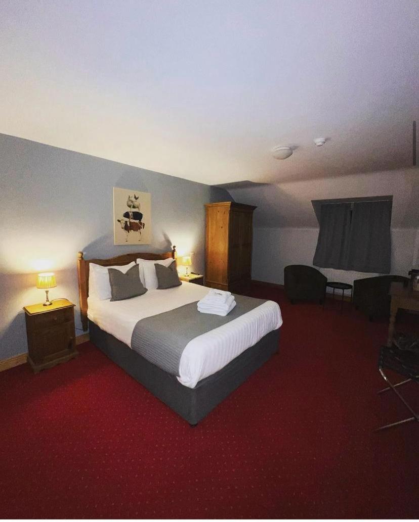 Dingle Marina Lodge Екстериор снимка